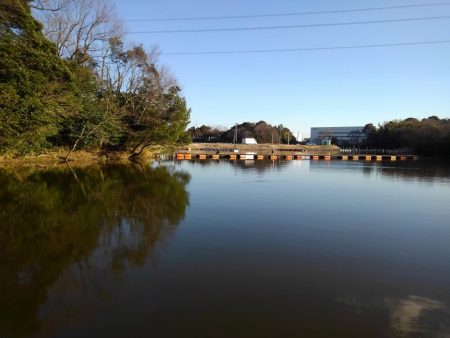 大安トラウトレイク 釣果